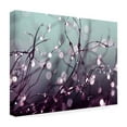 thumbnail image 4 of Trademark Fine Art "Somewhere Over the Rainbow" Canvas Art by Beata Czyzowska, 4 of 4