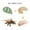 MulticolorB, variant on Iumwxz Home Trends Insect Growth Cycle Ornaments Spider-Star Tarantula Bee Life Stage Model Toys Christmas Gifts home decor christmas clearance outdoors indoor