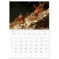 thumbnail image 5 of Exotic ants (Monthly Wall Calendar 2026 11.7 x 16.5 (open)), CALVENDO 14 Month Calendar, 5 of 9