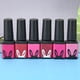 thumbnail image 1 of Juego de Esmaltes de Gel ANGGREK 6 Botellas Colorido PR Serie púrpura y roja 01-06, 1 of 8