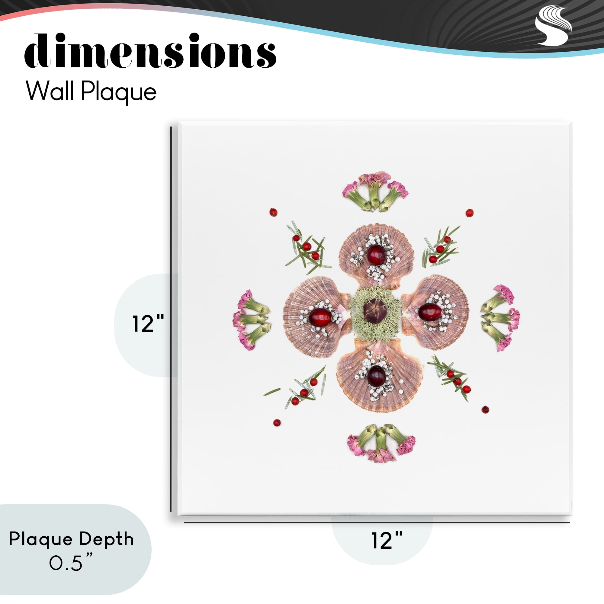 Stupell Industries Clam Shells & Botanicals Pattern Wall Plaque Art, design by Beth Adoette