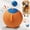 Orange, variant on Pet Game Balls,Giant Grazing Balls For Dogs,Durable Inflatable Training And Exercise Toys,Medium And Large Outdoor Training Toys For Dogs,Are Ideal Choices For Dog Herding Sports.
