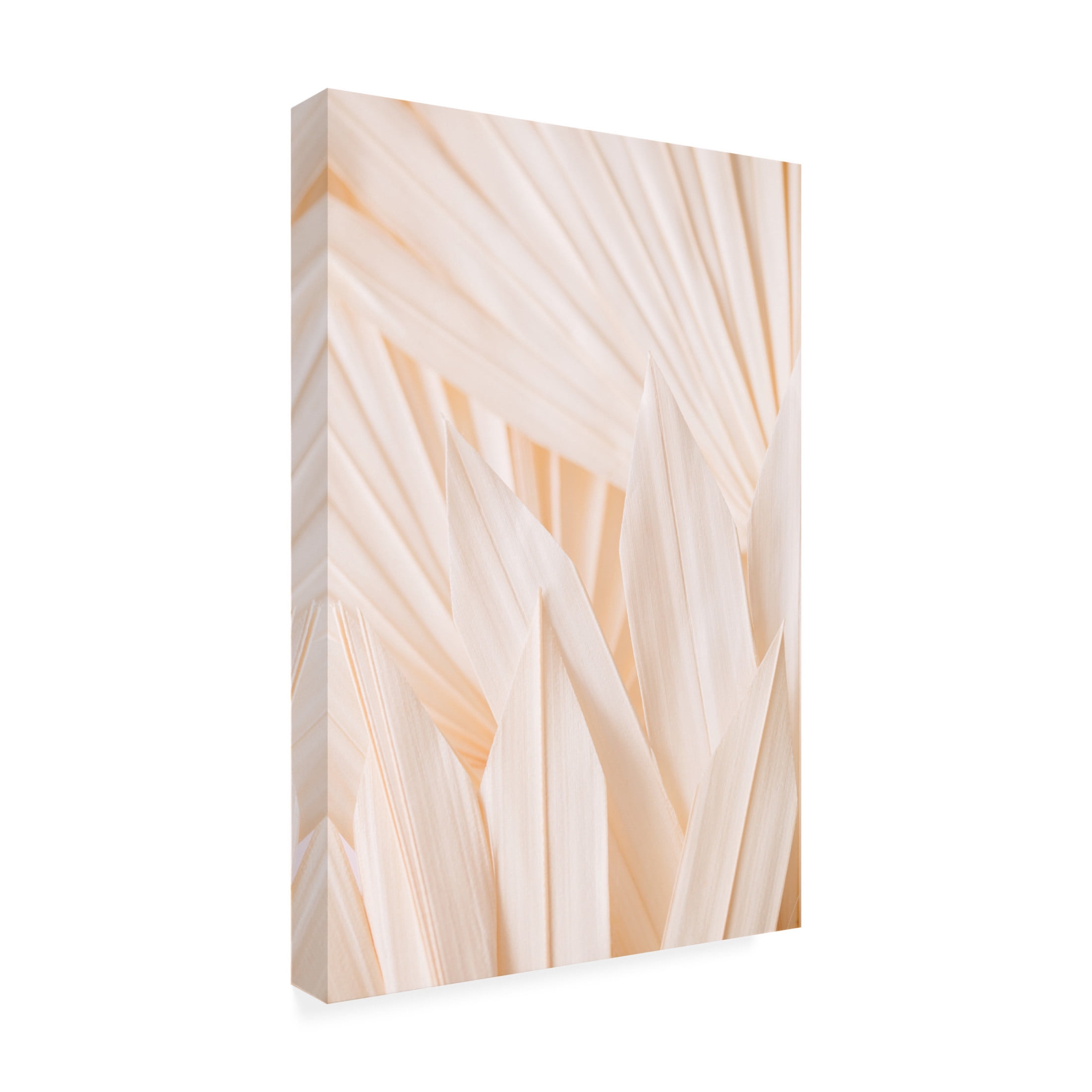 Trademark Fine Art Pictufy Studio Pattern 2 Canvas Wall Art