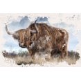 thumbnail image 2 of Allen, Kimberly 14x11 Gold Ornate Wood Framed with Double Matting Museum Art Print Titled - Long Horn, 2 of 4