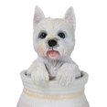 thumbnail image 5 of West Highland White Terrier Westie Puppy Dog Figurine With Glass Eyes Pup In Pot, 5 of 9