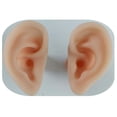 thumbnail image 4 of Modelo de Anatomía Del Oído Herramientas de Enseñanza Modelo de Práctica de Acupuntura para Práctica Sharpla Pantalla del oído derecho, 4 of 8