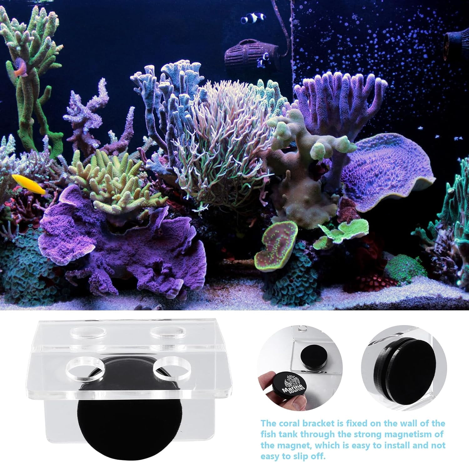ABCISI Magnetic Coral Rack, Aquarium Plant Magnet Holder, 4 Holes Acrylic Coral Frag Clip, Fish Tank Coral Bracket with Suction Cup for Aquarium Fish Tank Coral Plant Hold Tools