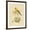 Brown Frame, variant on Art.com Gilded Songbird 2 Art Print by Chad Barrett, 12" x 16"
