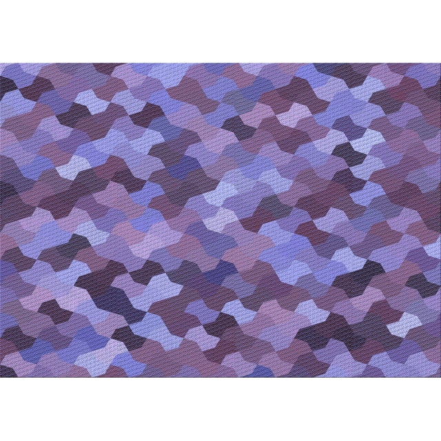Ahgly Company Tapis d'Intérieur Lavables en Machine Rectangle Transitionnel Violet Mimosa Violet, 2' x 4'