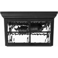 thumbnail image 3 of Outdoor Flush Mount Ceiling Light Fixture, Black w/Water Glass, 2-Light Square Farmhouse Porch or Patio Light, Close to Ceiling Entryway Outdoor Light, Bulbs Not Included, 3 of 6