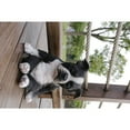 thumbnail image 2 of SLEEPY BOSTON TERRIER PUPPY STATUE SITTING, 2 of 8