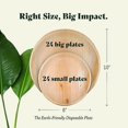 Stylish and Sustainable Palm Leaf Plates Disposable 10 Inch and 6