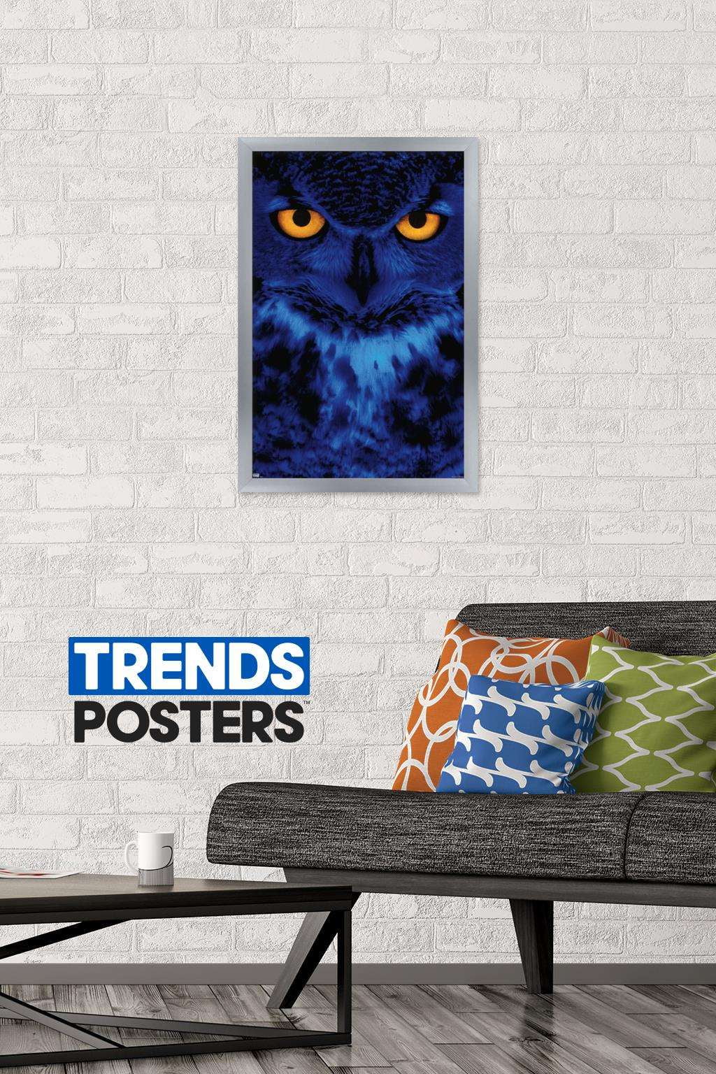 Owl - Eyes Wall Poster, 14.725" x 22.375", Framed