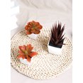 thumbnail image 4 of 3pcs/set mini potted plant combination-suitable for shop. Living Room bedroom bathroom tabletop decoration, 4 of 4