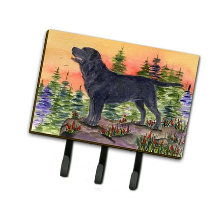 

Carolines Treasures SS8624TH68 Labrador Leash or Key Holder Triple multicolor