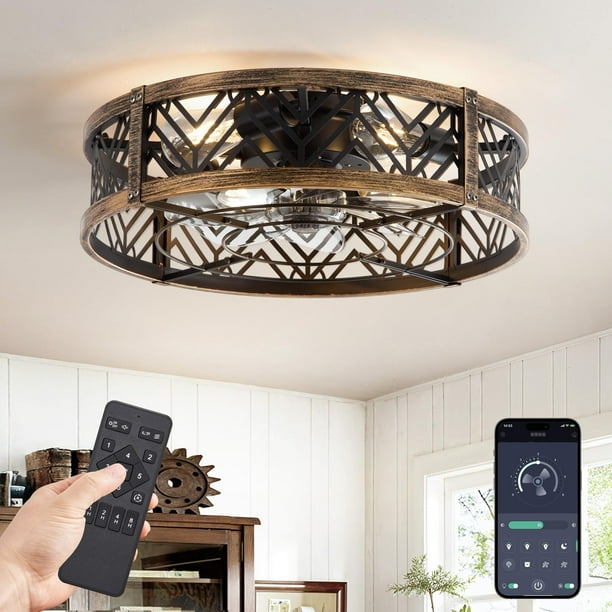 Ventilador de techo LEDIARY de 20 pulgadas Caged Light App Remote, negro y dorado