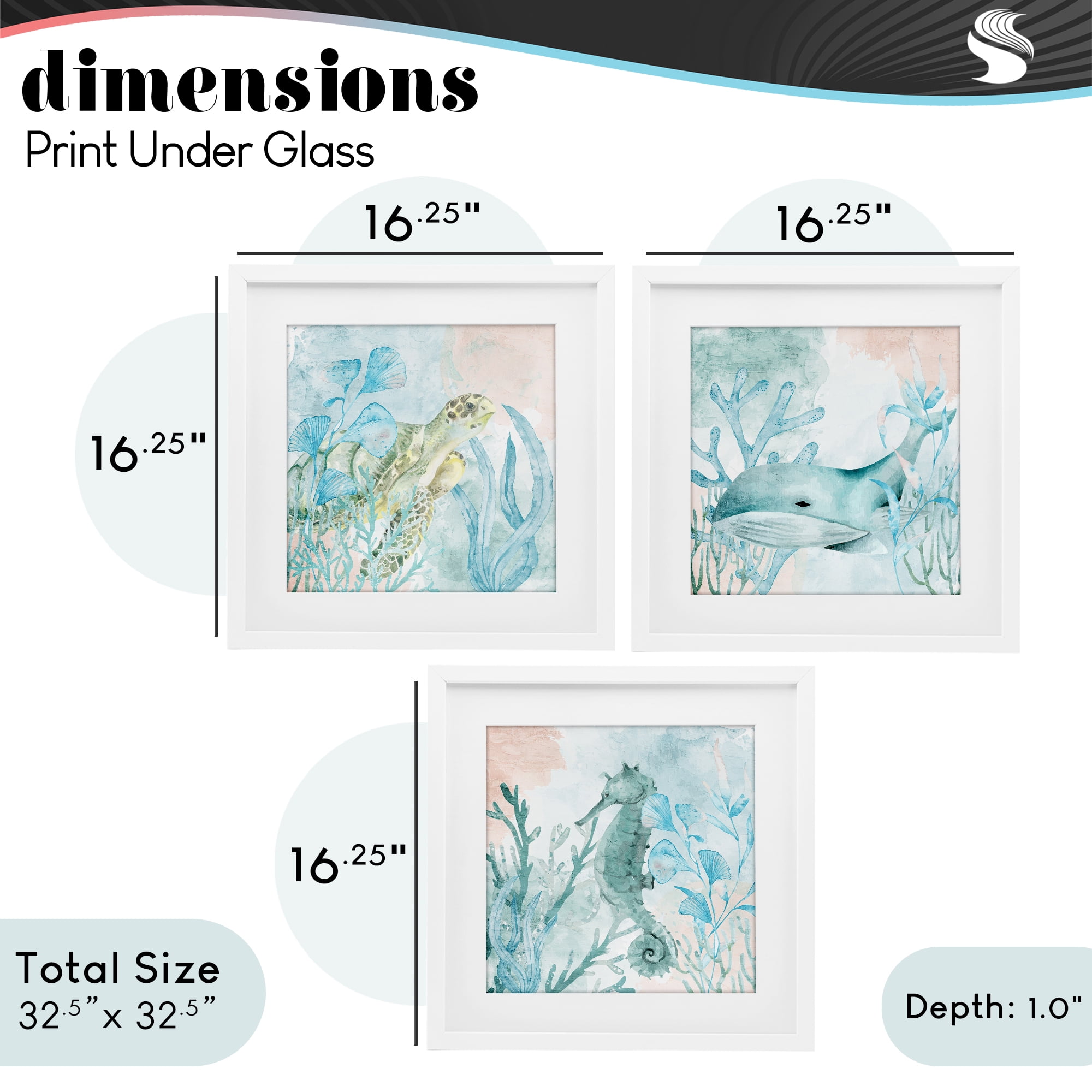 Stupell Industries Aquatic Animals Sea Swim 3 Piece White Framed Print Under Glass Set, design by Kim Allen