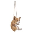 thumbnail image 4 of Chihuahua Puppy Suspendu, 4 of 5