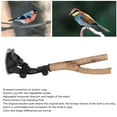 thumbnail image 3 of Non Slip Textured Wooden  Perch With Suction Cups - Training And Interactive, Prevent Slip, Easy To Install - Ideal For Small Medium Birds, 3 of 8