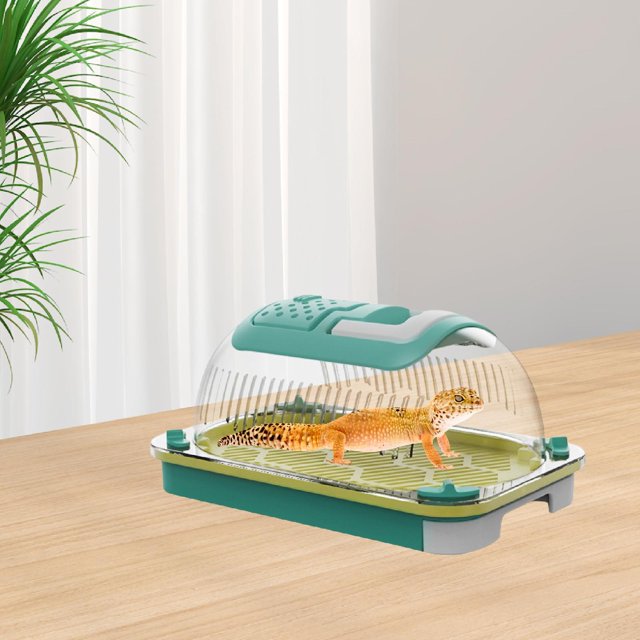 BELOVING Terrarium pour Reptiles Cage Portable Robuste pour Habitat pour Tortue Terrapin S