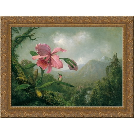 Orchid and Hummingbird near a Mountain Waterfall 24x18 Gold Ornate Wood Framed Canvas Art by Martin Johnson