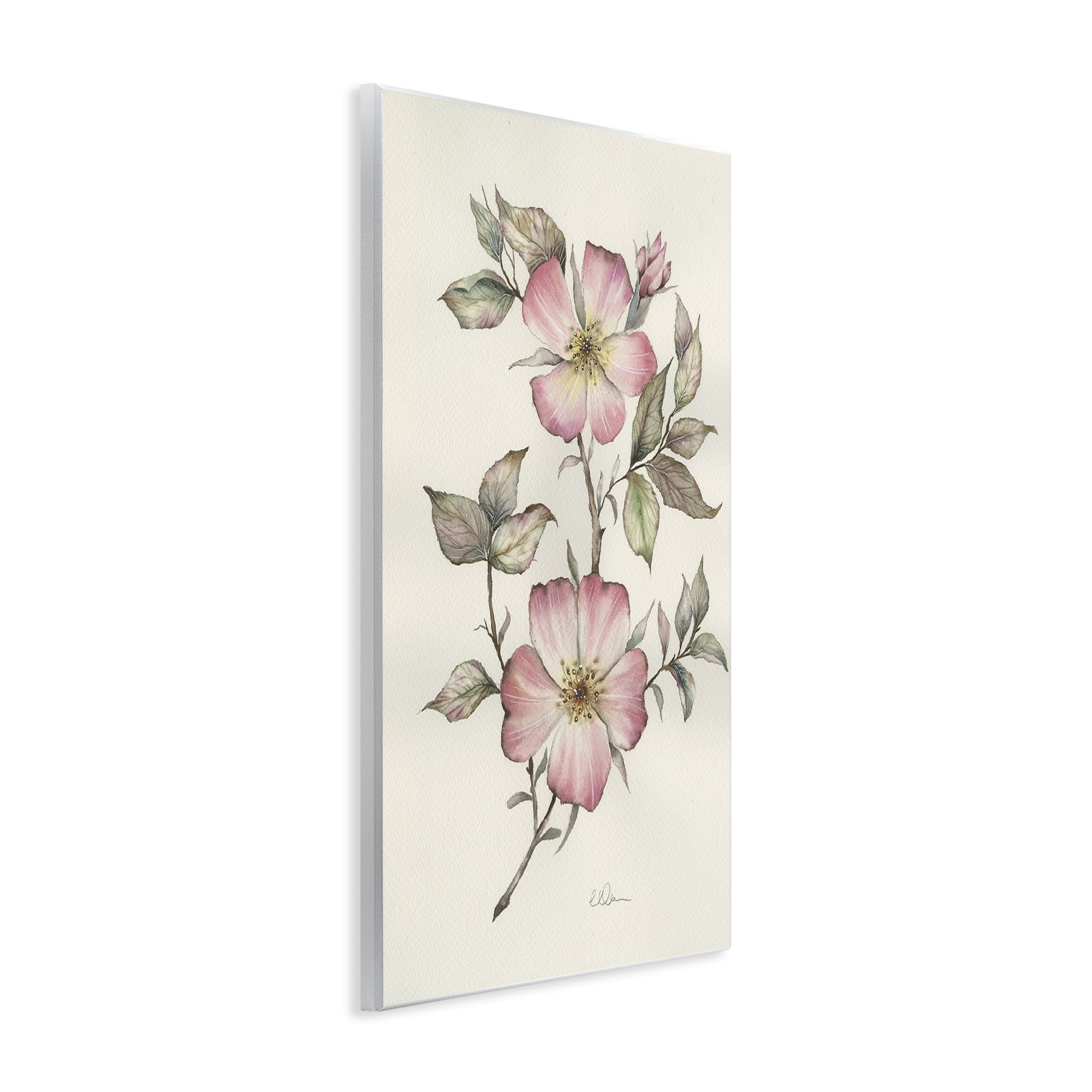 Stupell Industries Two Flowers Natural Study Wall Plaque Art, design by Cady Driver