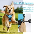 thumbnail image 4 of rabbitgoo No-Pull Pet Harness with 2 Leash Clips  Adjustable Soft Padded  Reflective No-Choke Pet Oxford Vest with Easy Control Handle for Large Dogs  Pink  L, 4 of 9