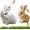 Brown+white, variant on Easter Bunny Toy, Rabbit Interactive Hopping Electronic Pet Plush Bunny Toy with Sounds and Movements Animated Walking Wiggle Ears Twitch Nose