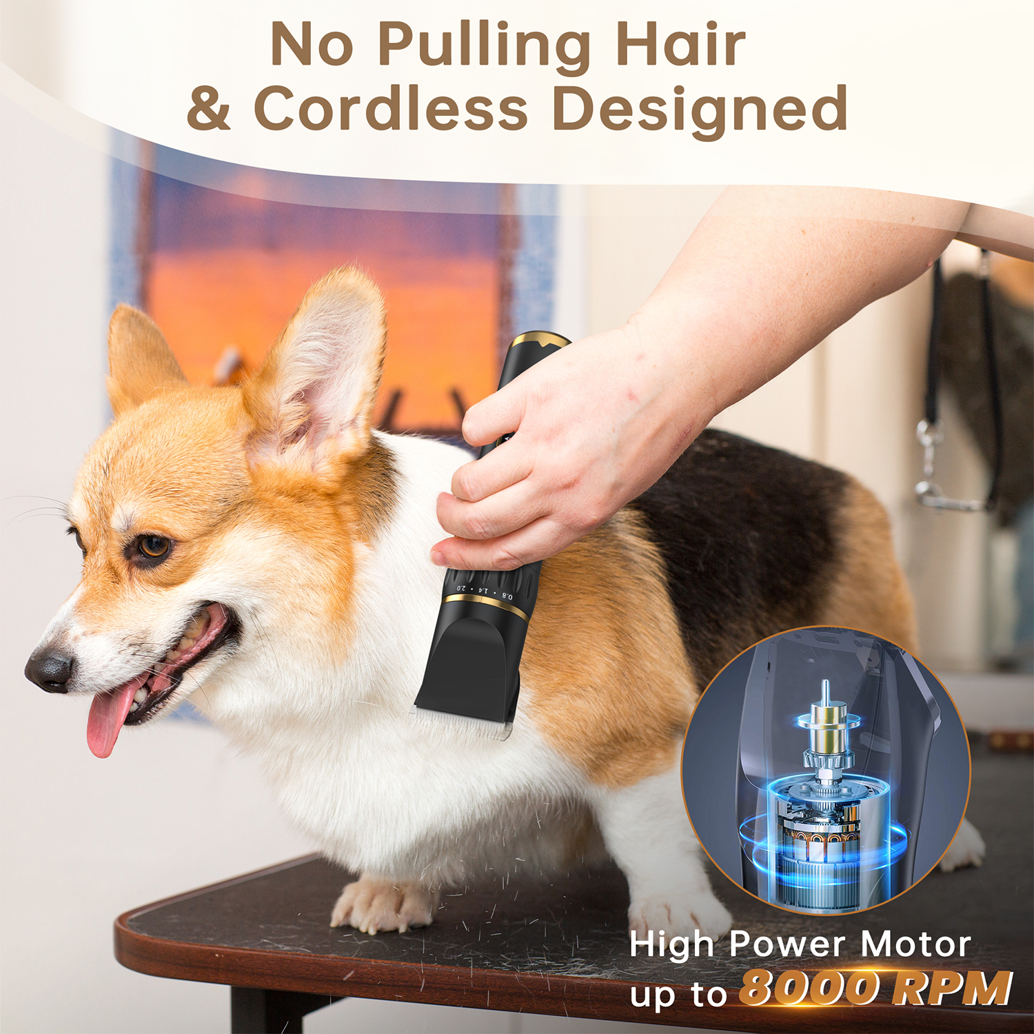 Cshidworld Dog Grooming Clipper Kit, Rechargeable photo 2