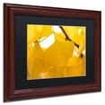 thumbnail image 3 of Trademark Fine Art "Ginkgo Drops" Canvas Art by Philippe Sainte-Laudy Black Matte, Wood Frame, 3 of 5