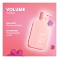 thumbnail image 3 of MONDAY Haircare VOLUME Shampoo with Hydrolyzed Collagen & Macadamia Oil for Thin, Fine & Flat Hair, 3 of 5