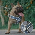 Breathable Adjustable WellPadded Frenchie Dog Harness with Leash Set for Training and Running