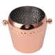 thumbnail image 5 of Cubo De Hielo De 1 Litro, Recipiente Congelado De Acero Inoxidable Multifuncional Con Cuerpo Engrosado Y Diseño De Doble Pared Para Vino, Champán, Cócteles, 5 of 7