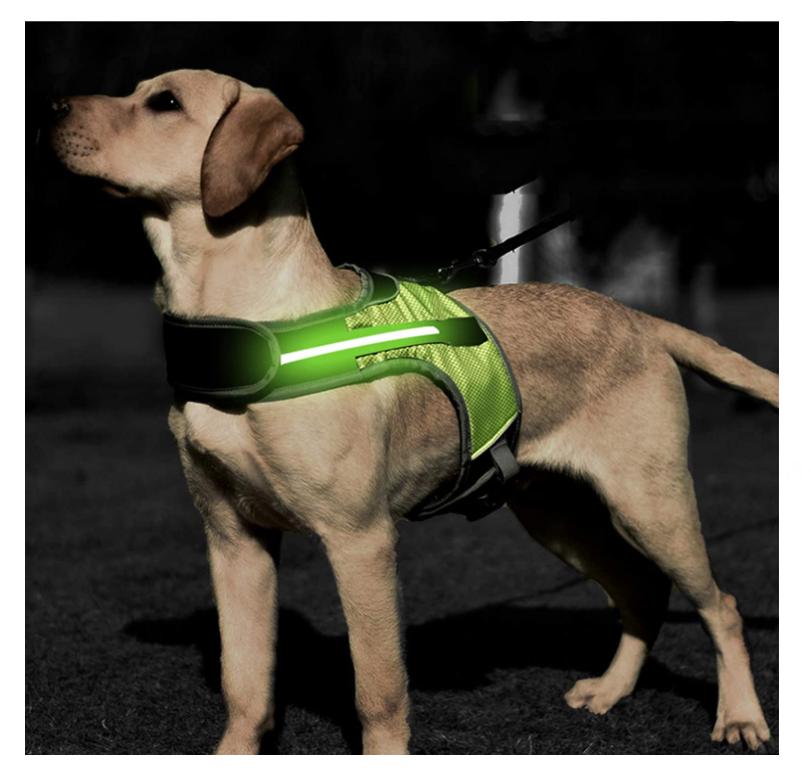 chest led dog harness