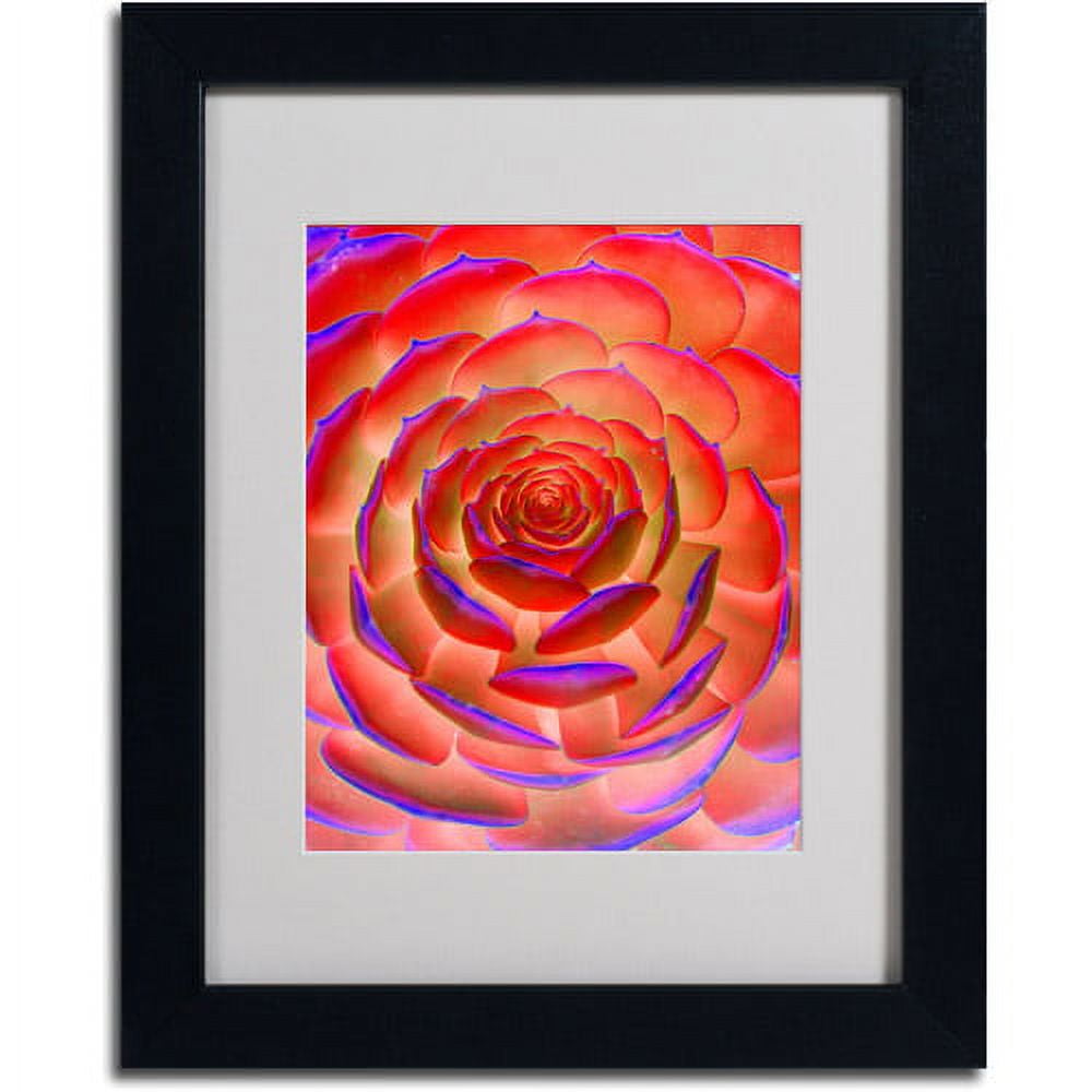 Trademark Fine Art "Plant Art" Matted Framed Art by Patty Tuggle, Black Frame