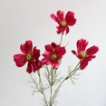 thumbnail image 1 of Rocío fresco flor artificial pequeña flor de seda color primavera pequeño crisantemo persa flor Gesang, 1 of 6