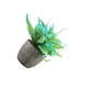 thumbnail image 1 of Ounissouiy Árbol artificial del dinero de la durabilidad duradera verde en el suculento artificial elegante respetuoso del medio ambiente del Decoración Rosa azul, 1 of 6