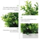 thumbnail image 2 of 4 piezas de plantas artificiales de escritorio para decoración del hogar, 2 of 6