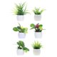 thumbnail image 1 of Plantas verdes artificiales, 6 piezas, miniadorno exquisito, maceta de plástico para casa de muñecas de interior, 1 of 6
