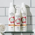 thumbnail image 4 of Biotera Ultra Color Care Color Lock Leave-In Conditioner, 4 of 7