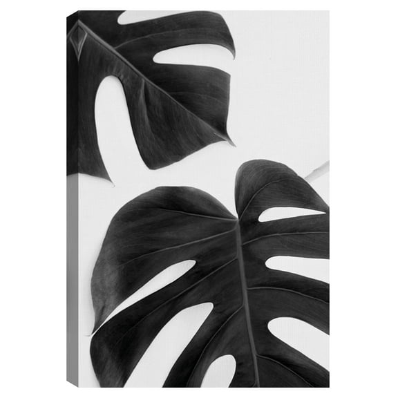 Monstera Duet Noir by Irene Suchocki Canvas Art Print