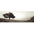 thumbnail image 2 of Blaustein, Alan 24x11 Black Ornate Wood Framed with Double Matting Museum Art Print Titled - Black Oak - 1, 2 of 4