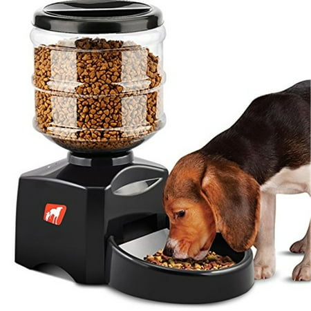 pet feeder 5 5l