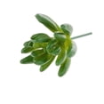 thumbnail image 1 of Adorno Hogar Artificial Baoblaze Pntas Flores de Folje Verde, 1 of 5