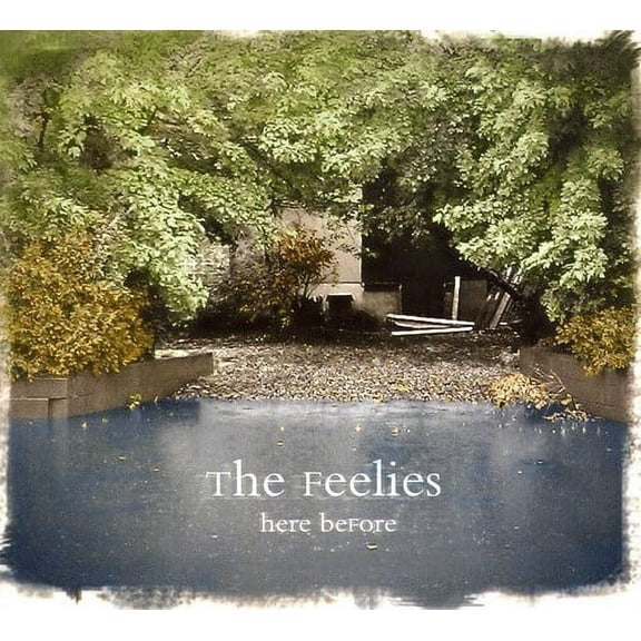 The Feelies - Here Before - Music & Performance - CD