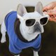thumbnail image 4 of FENGGUIQU Suéter Azul Oscuro Para Perro Con Calidad Y Para Paseos Y Eventos Especiales, 4 of 8