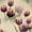 Color 2, variant on Peel and Stick Wallpaper Vintage Watercolor Tulips Botanical Art Ink Detailing Wall Mural 23.6in x 9.8ft Self Adhesive Removable Renter Friendly Wall Paper Decor for Walls Cabinets Home