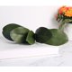 thumbnail image 4 of 3 hojas de Phalaenopsis de imitación, hojas de orquídea artificiales, suministros para plantas, 4 of 6