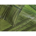 thumbnail image 4 of Ambesonne Nature Quilted Bedspread Set 3 Pcs, Forest with Lake Botany, King Size, Fern and Lime Green, 4 of 5