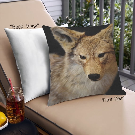 Ahgly Company Animals Wolf Outdoor Throw Pillow, 18 inch by 18 inch
